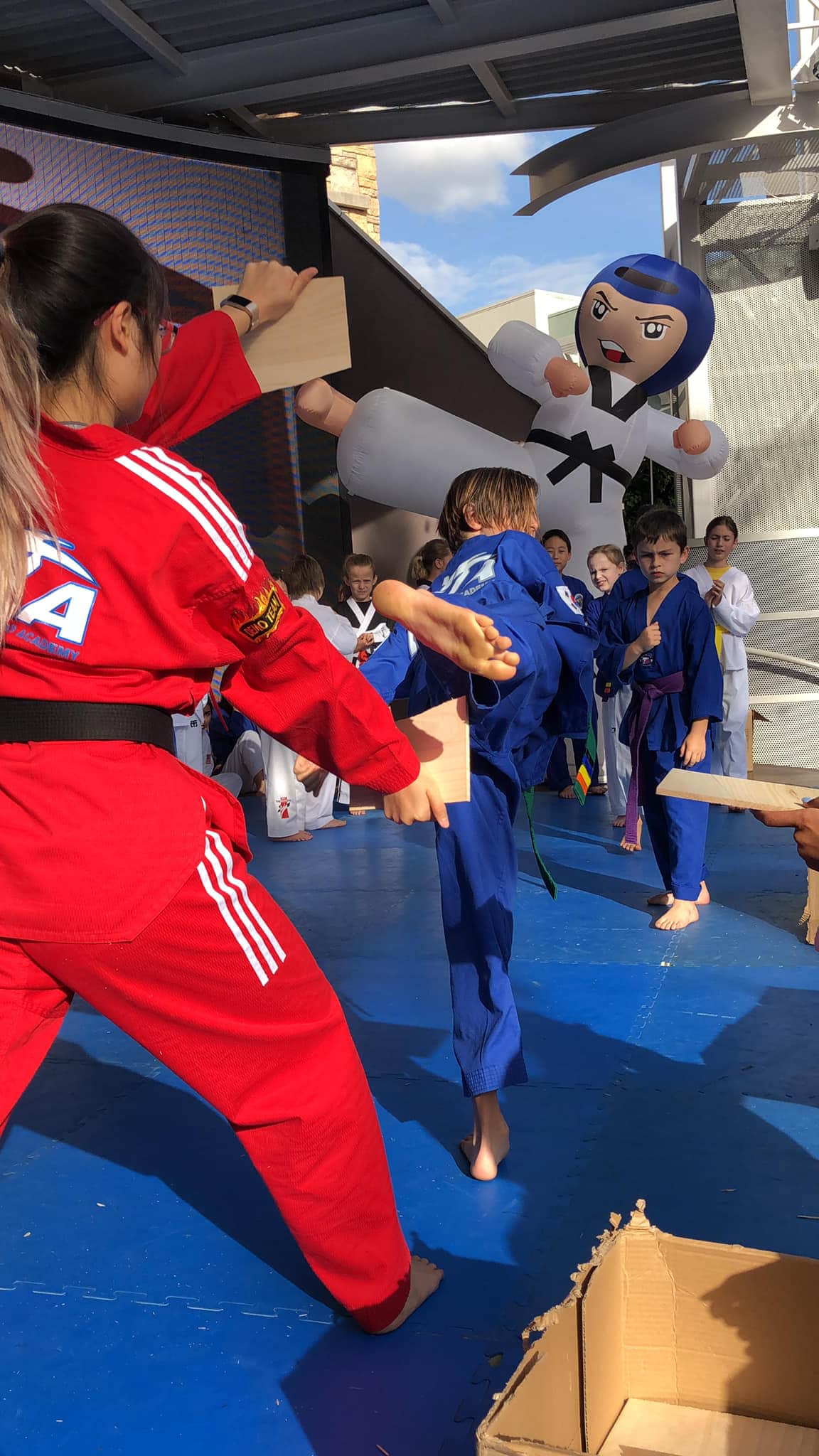World Taekwondo - Haidong Gumdo Academy Programs